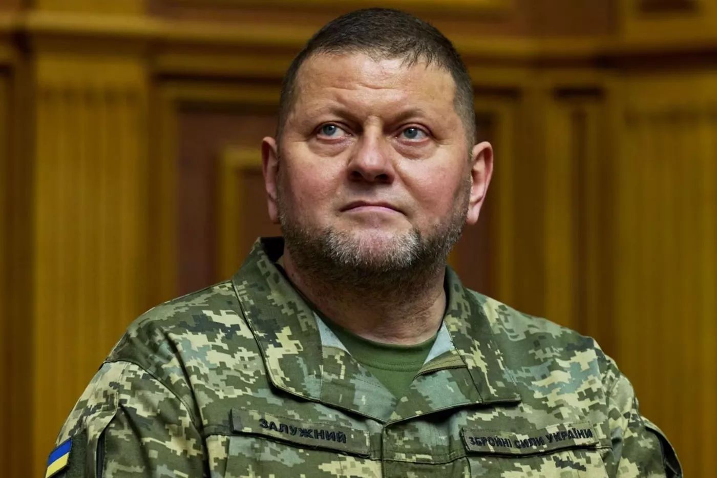 Чому влада тягне з відставкою Залужного