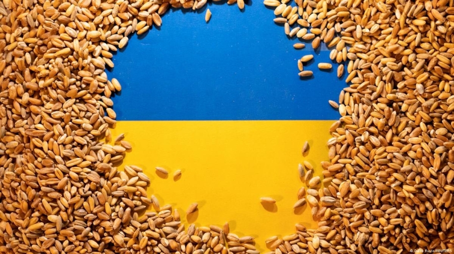 Український аграрний ринок у полоні фіктивних фірм