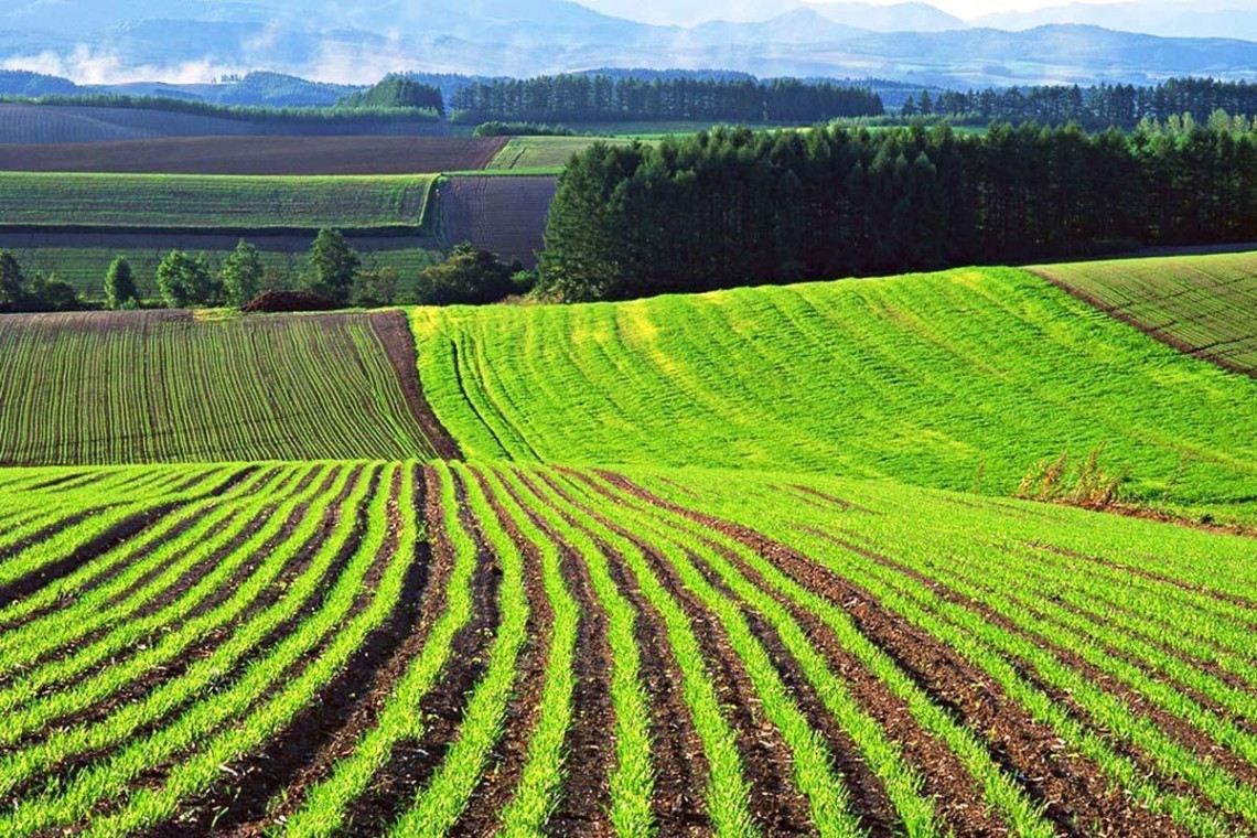В Україні оформлено більше 450 тисяч угод з купівлі-продажу нерухомості в 2024 році: основний тренд – земля