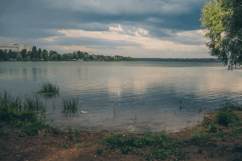 Київське КП «Плесо» знову під слідством: директору інкримінують розтрату коштів на 1,7 млн грн
