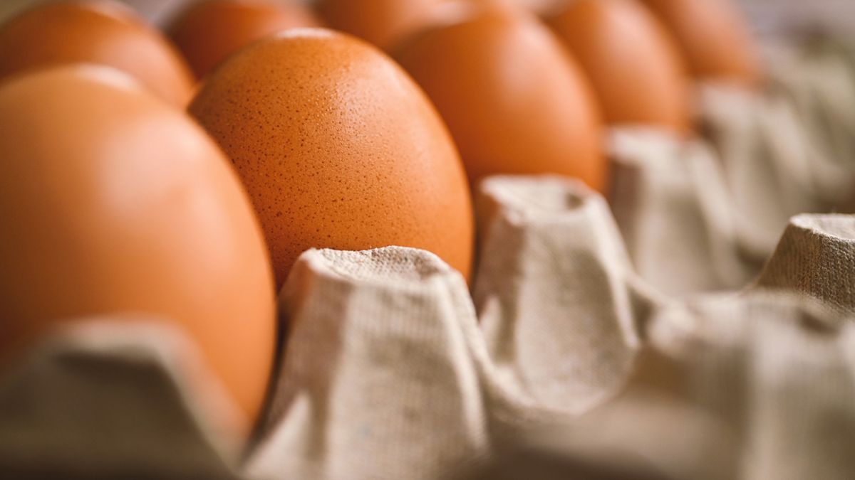 Яйця в Україні знову дорожчають — що кажуть у торгових мережах