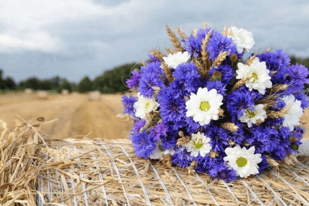Яке свято відзначаємо 5 вересня та що сьогодні не можна робити