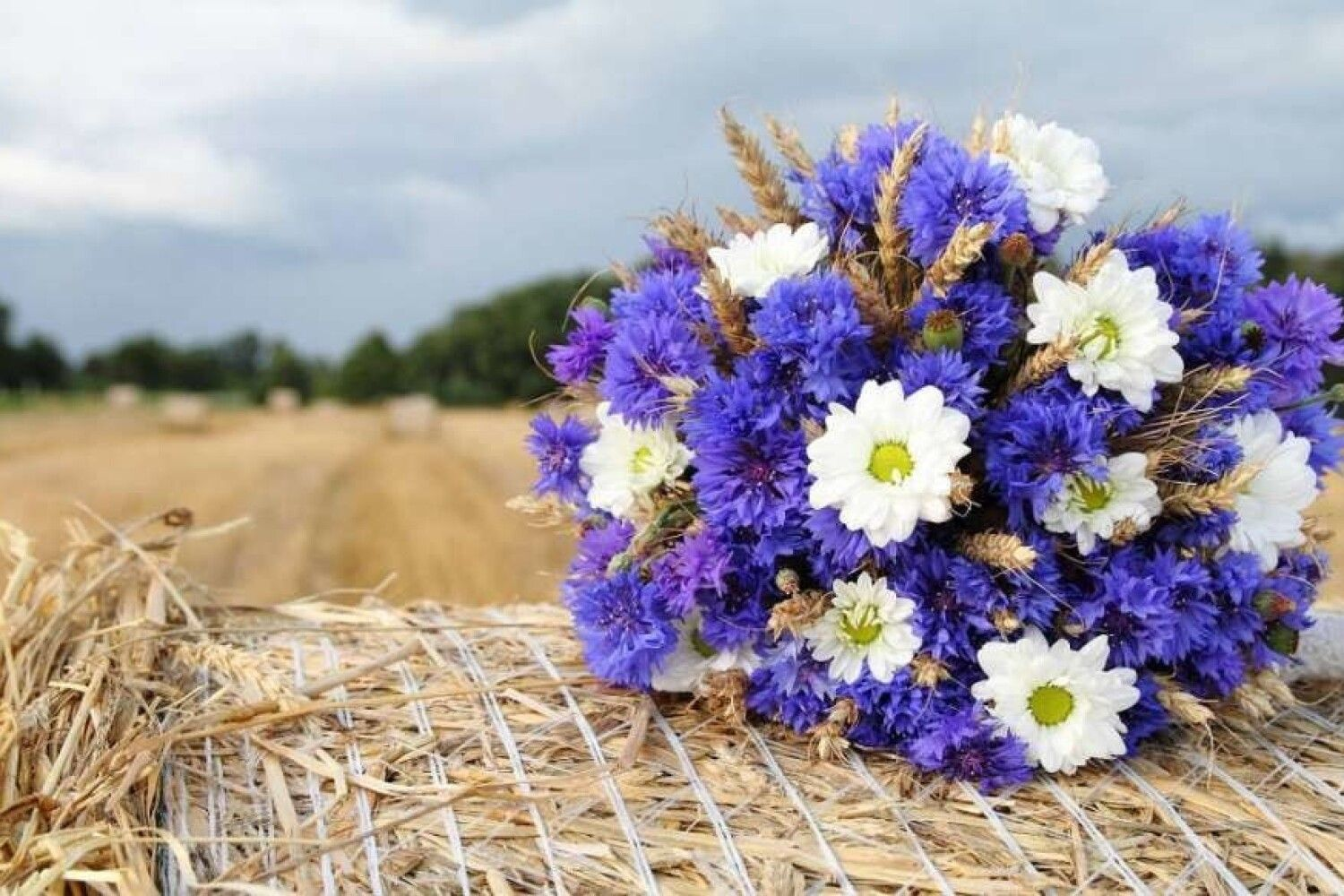 Яке свято відзначаємо 5 вересня та що сьогодні не можна робити