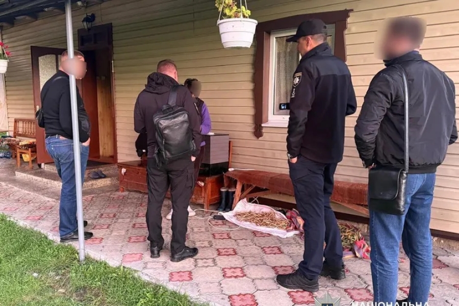 Злочинна група незаконно заволоділа землями поблизу “Буковеля”: розкрито масштабну схему