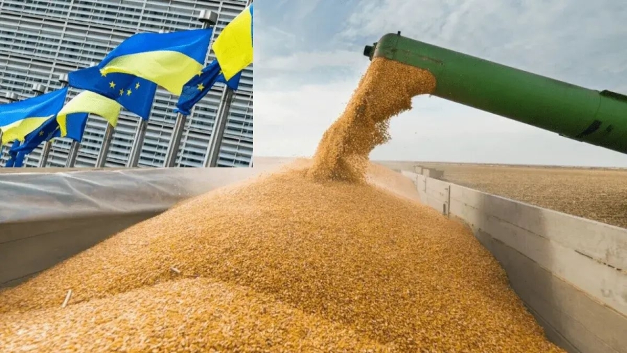 Рада ЄС 13 жовтня ухвалить рішення щодо перегляду тарифних квот для аграрних товарів з України