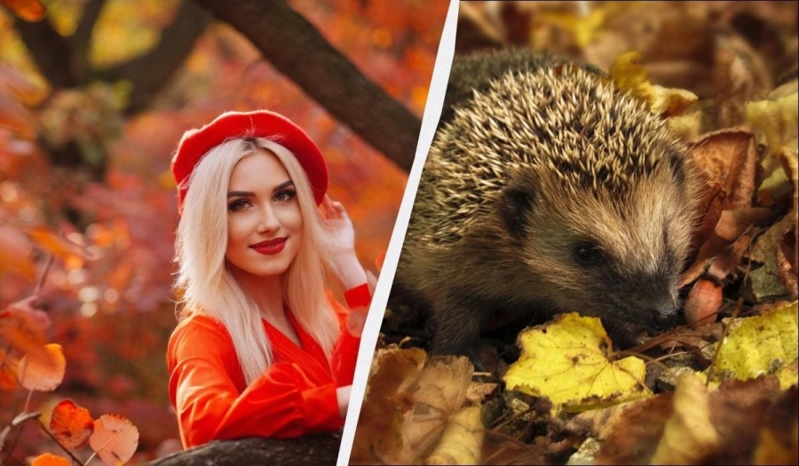 Важливі дати та духовні значення сьогоднішнього дня в Україні Важливі дати та духовні значення сьогоднішнього дня в Україні