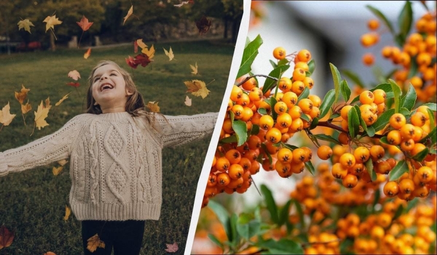 6 листопада — день пам’яті, духовності та єднання з усім світом