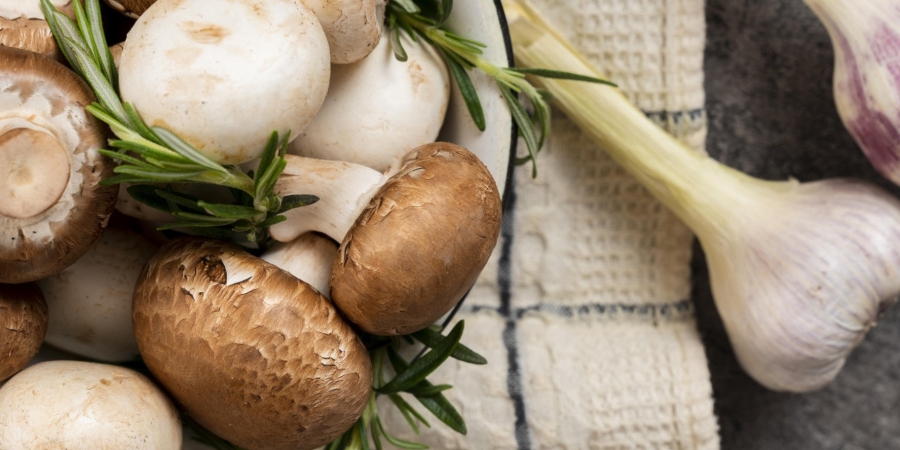 Гриби як суперфуд: користь для імунітету, нервової системи та настрою