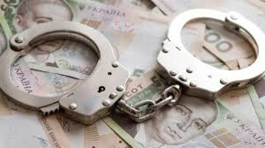 Керівницю відділу Держекоінспекції підозрюють у незаконному збагаченні: вилучено понад мільйон доларів готівкою